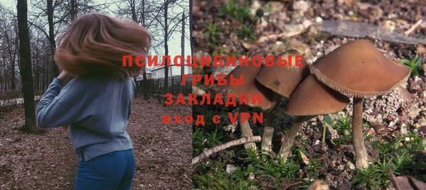 COCAINE Бородино