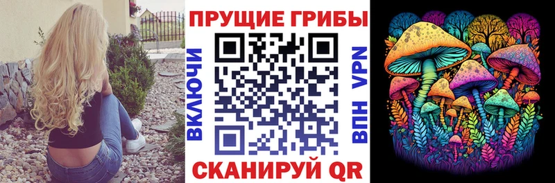 KRAKEN ССЫЛКА  Кольчугино  Псилоцибиновые грибы MAGIC MUSHROOMS 